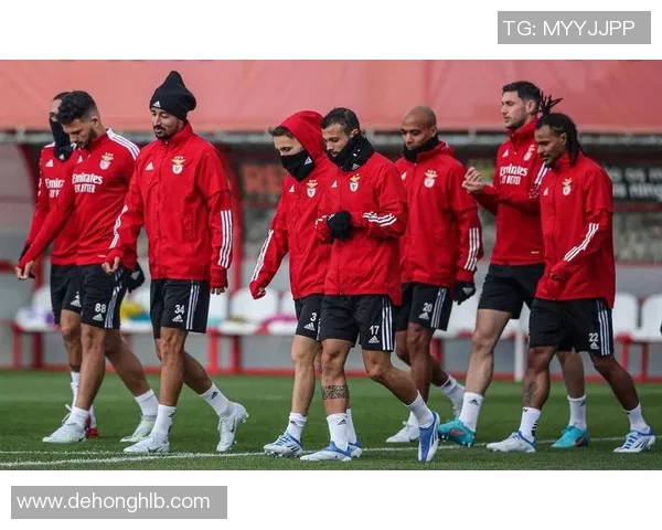 欧冠激战：本菲卡与多特蒙德战成平局引发全场热议与惊喜时刻回顾